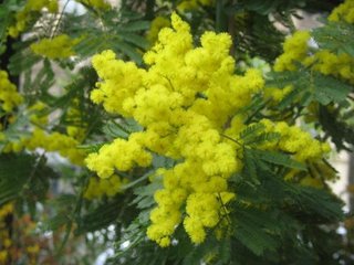 новый год 2012 поздравления