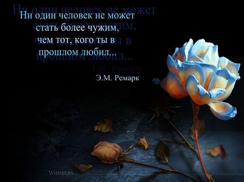 поздравление тренеру